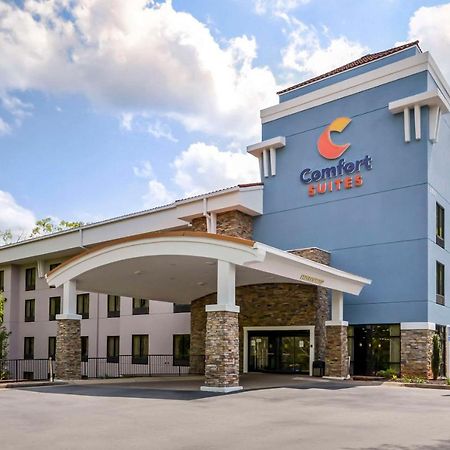 Comfort Suites At Kennesaw State University Exterior foto